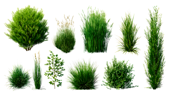 ia generated. Various clumps of green grass in different shapes and sizes, presented isolated on a white background for use in design and landscaping.