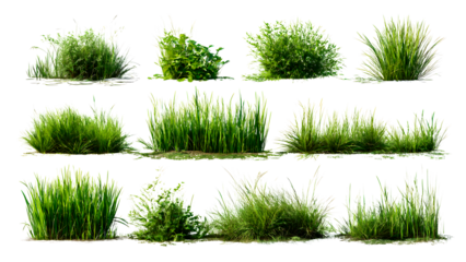 ia generated. Various clumps of green grass in different shapes and sizes, presented isolated on a white background for use in design and landscaping.