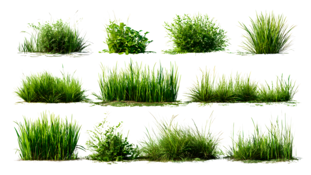 ia generated. Various clumps of green grass in different shapes and sizes, presented isolated on a white background for use in design and landscaping.