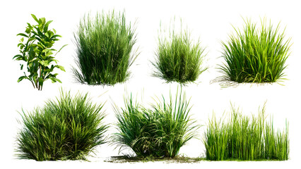 ia generated. Various clumps of green grass in different shapes and sizes, presented isolated on a white background for use in design and landscaping.