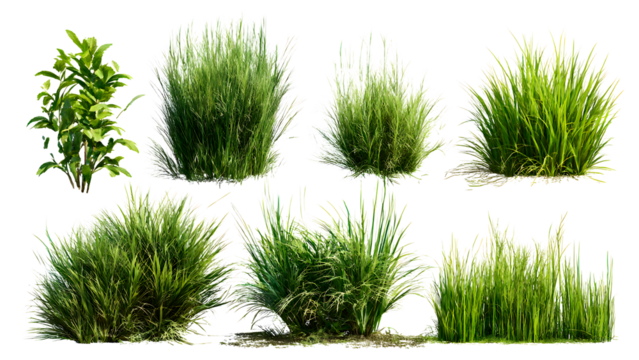 ia generated. Various clumps of green grass in different shapes and sizes, presented isolated on a white background for use in design and landscaping.