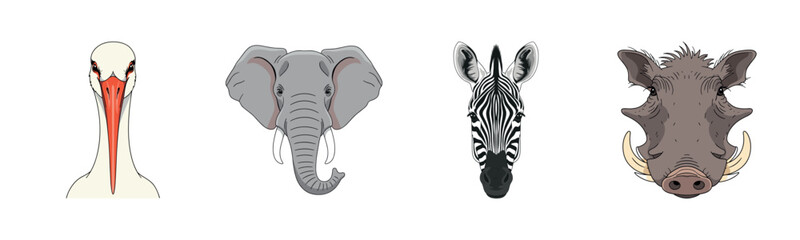 Naklejka premium Illustrated animal portraits: stork, elephant, zebra, warthog on white background