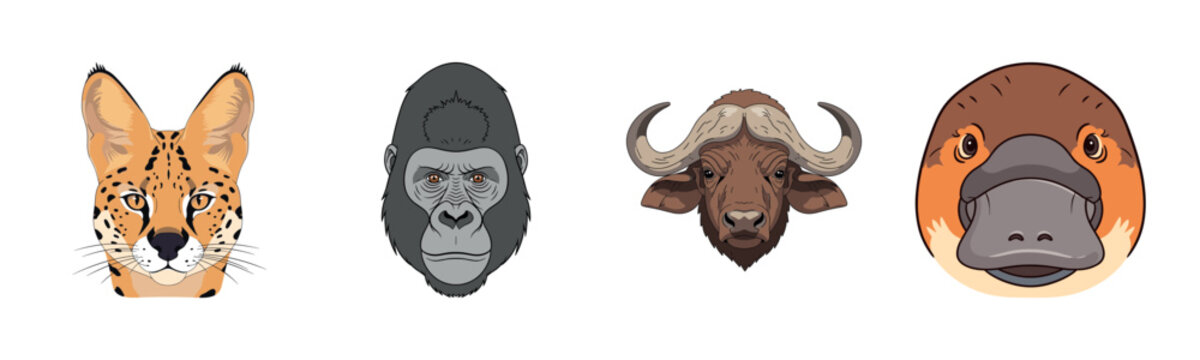 Illustrated animal faces: serval, gorilla, buffalo, platypus