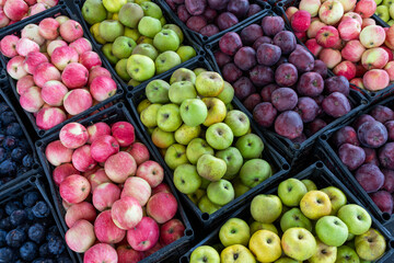 Variety Of Fresh Apples And Plums In Plastic Crates At Market