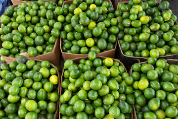 Fresh Green Limes In Cardboard Boxes For Sale At Market