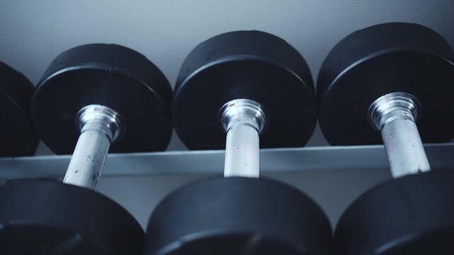 Dumbbells For Strength Training And Bodybuilding In The Gym On A Stand With Row Weights
