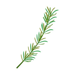 Flat Illustration of Rosemary Sprig for Culinary Use