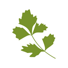 Fototapeta premium Flat Illustration of Fresh Parsley Leaves for Garnish