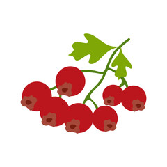 Flat Illustration of Hawthorn Branch with Red Berries