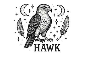 Obraz premium Black and white drawing of a hawk with feathers and stars