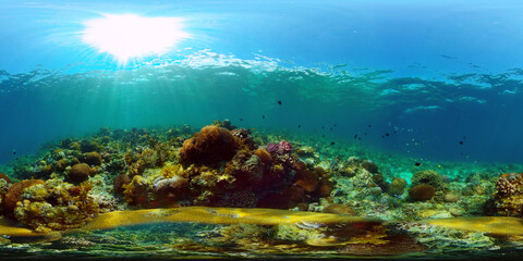 Naklejka premium Tropical coral reef seascape with fishes, hard and soft corals. 360 panorama VR