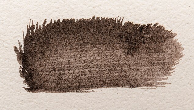 Displaying dark brown brush stroke spanning cream watercolor paper in studio with bristle marks - Powered by Adobe
