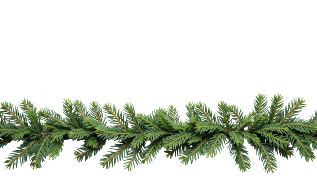 Lush green pine branches create natural border, perfect for festive decorations or seasonal themes, evoking sense of tranquility and nature