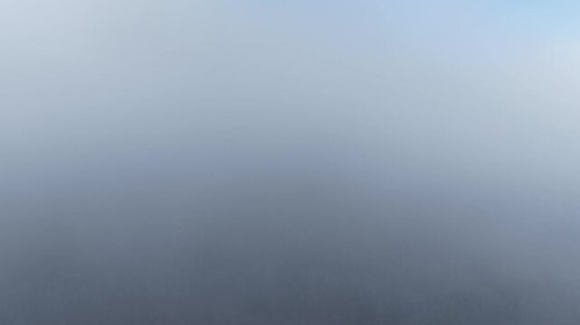 Aerial view of Haut-Koenigsbourg Castle shrouded in fog, a medieval fortress emerging ethereally from the mist, Orschwiller, Grand Est, France.