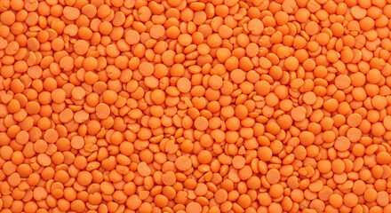 A detailed full frame background of vibrant red lentils, rich color and texture for healthy food themes