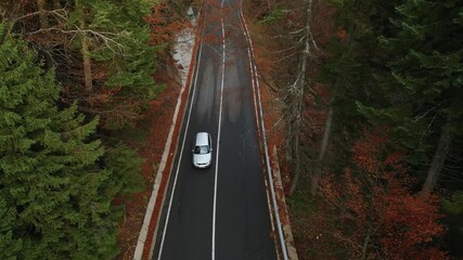 A Car Across The Highway In Autumn Forest Park In Romania. Aerial Shot