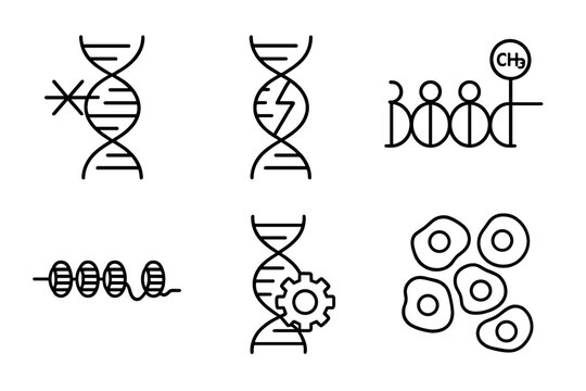 Cancer Epigenetics Icons. Line style icons of cancer epigenetics: tumor suppressor silencing, oncogene activation, CpG island