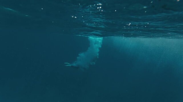 Person jumps into the sea from a boat