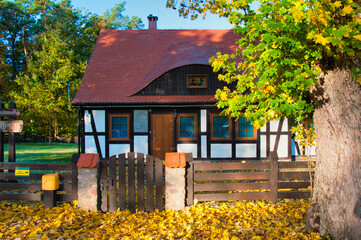  Przytulny drewniany domek z czerwonym dachem, otoczony jesiennymi liśćmi i dużym drzewem, zachwyca rustykalnym urokiem, sielskim ciepłem i sezonowym pięknem. Drawieński Park Narodowy - Ostrowite. © Pol Badger