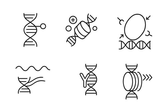 Epigenetic Mechanism Icons. Line style icons of epigenetic mechanisms: DNA methylation, histone modification, chromatin remodeling