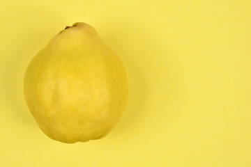 A single, pale yellow quince fruit rests on a brightly lit, solid yellow background, photographed from above