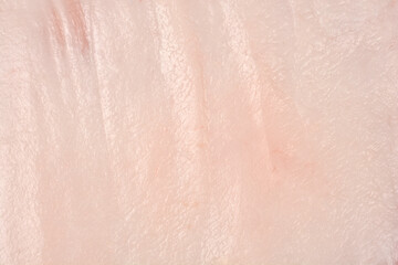 An close-up view of the dense, pale pink texture of a thick slab of pure raw pork fat after the skin has been removed