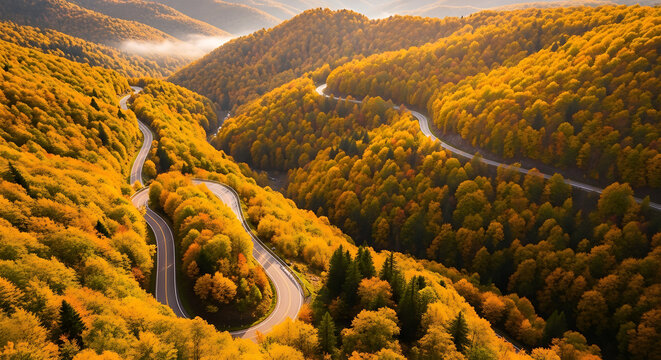 Autumn winding road through mountain forest with golden foliage.