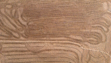 Abstract aerial view of tractor tire tracks creating curved patterns on a dry soil field showing the activity of farm machinery preparation