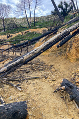 Hiking on trail along abandoned open-pit mine and burnt trees near Mijas, Spain 