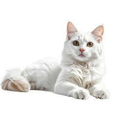 Elegant White Cat Lounging on Transparent Background