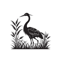 Exotic crane or heron bird
