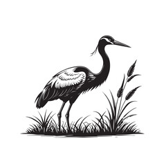 Exotic crane or heron bird
