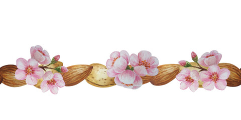 Watercolor seamless banner with almonds and flowers. White background. For design, backgrounds