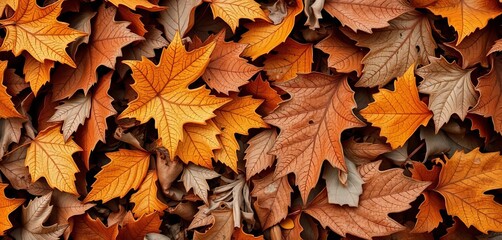 Intricate textures of dried leaves, autumnal browns and golds,  fall,  detail