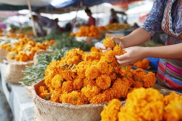 Close-up Mexican florist arranging fresh marigolds.