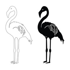 Elegant flamingo silhouette illustration, Flamingo outline and solid bird vector, Standing flamingo graphic design, Black and white flamingo drawing.eps