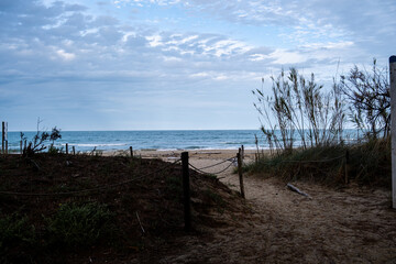 Sandy path leading to tranquil Pineto beach with calm Adriatic Sea waves under a cloudy sky in Abruzzo, Italy