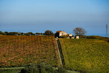 Abruzzo countryside with an old farmhouse amidst autumn vineyards, a scenic rural panorama towards the sea