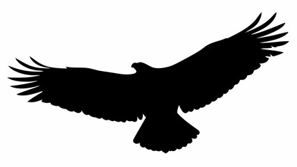 Obraz premium Majestic eagle soars with powerful wings spread wide, embodying freedom, strength, and vision, ideal for nature, wildlife, and symbolic themes