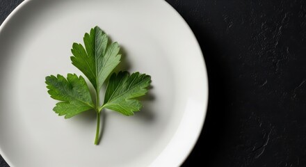A single vibrant green parsley leaf delicately placed on a pristine white plate, contrasted against a dramatic dark background