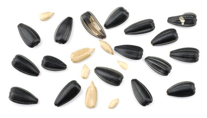 A scattering of black, oblong sunflower seeds and lighter colored kernels on a clean white surface