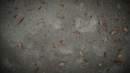 Photorealistic Concrete & Leaves Texture