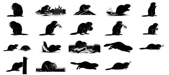 waterway weavers natures industrious engineers sculpting wild aquatic habitats, isolated on transparent background