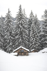 Wooden cabin in snowy winter forest landscape