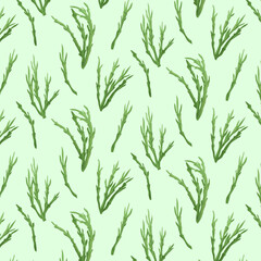 Seamless pattern sea Asparagus
