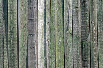 Close-up of aged, rustic wooden planks with green moss and peeling paint, creating a natural textured background ideal for designs and presentations.