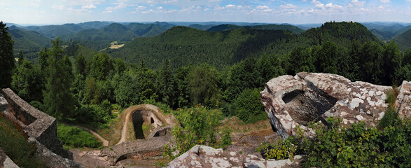 Fototapete bei efototapeten.de bestellen   