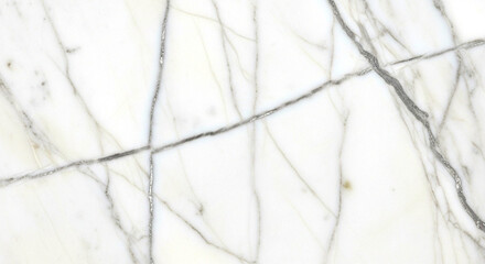 Close up of white marble texture with prominent dark grey natural veining pattern