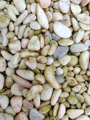 Close up view of smooth natural pebbles with mixed beige, white, and light green tones. The stones create an organic texture pattern suitable for use in backgrounds, design elements and nature themes