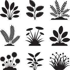 Plant icons, garden bush, tropical leaves, nature foliage, grass silhouette, floral decoration